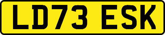 LD73ESK
