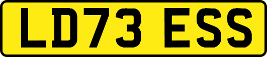 LD73ESS