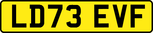LD73EVF