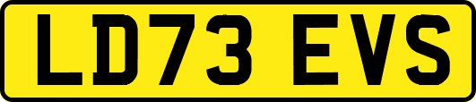 LD73EVS