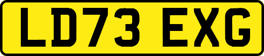 LD73EXG