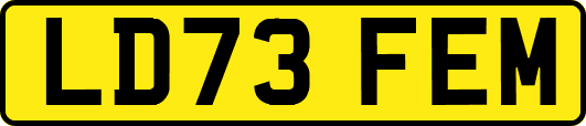 LD73FEM