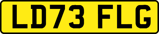 LD73FLG