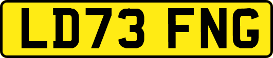 LD73FNG