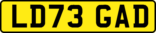 LD73GAD