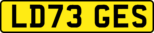 LD73GES