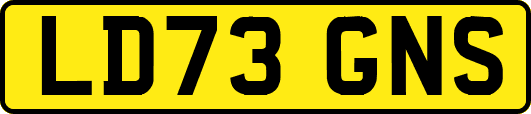 LD73GNS