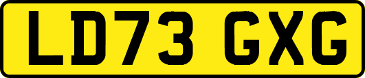 LD73GXG