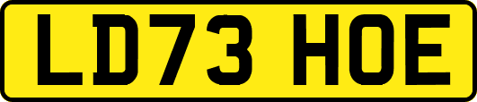 LD73HOE