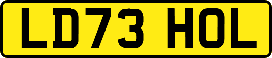 LD73HOL