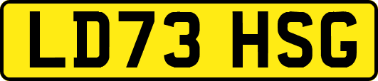LD73HSG