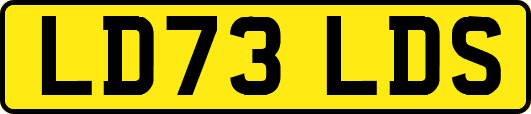 LD73LDS
