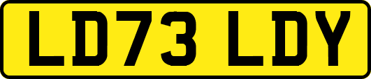 LD73LDY