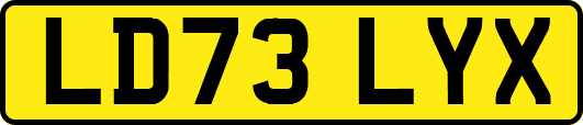LD73LYX