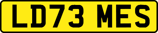 LD73MES