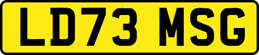 LD73MSG