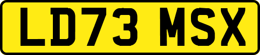 LD73MSX