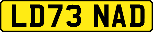LD73NAD