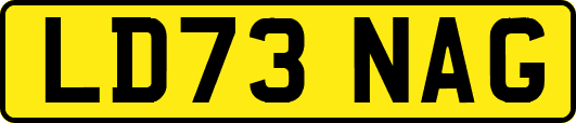 LD73NAG
