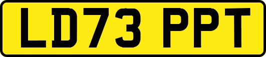 LD73PPT