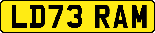 LD73RAM