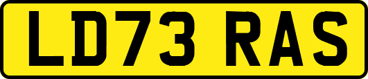 LD73RAS