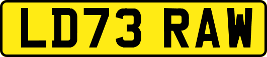 LD73RAW