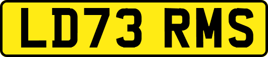LD73RMS