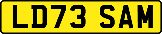 LD73SAM