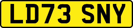 LD73SNY