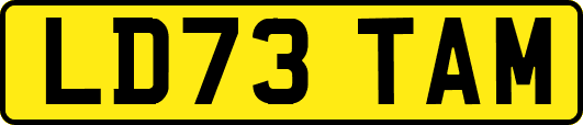 LD73TAM