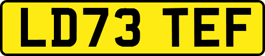 LD73TEF