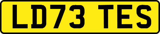 LD73TES