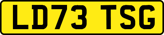 LD73TSG