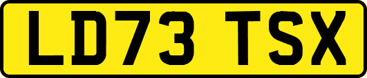 LD73TSX