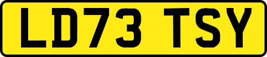 LD73TSY
