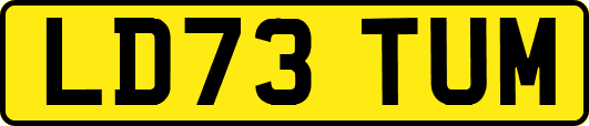 LD73TUM