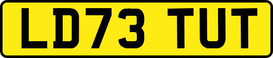 LD73TUT