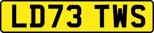 LD73TWS