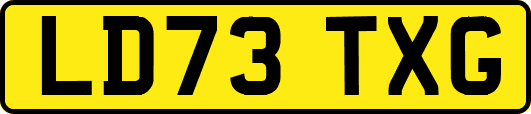 LD73TXG