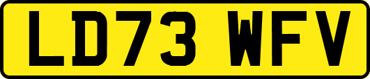 LD73WFV