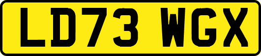 LD73WGX