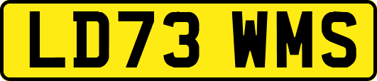 LD73WMS