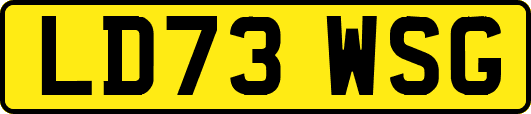 LD73WSG
