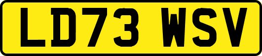 LD73WSV