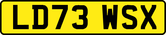 LD73WSX