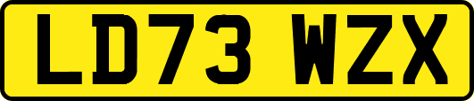 LD73WZX