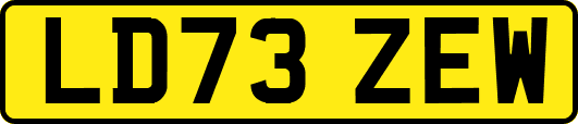 LD73ZEW