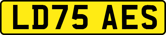 LD75AES