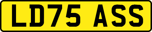 LD75ASS